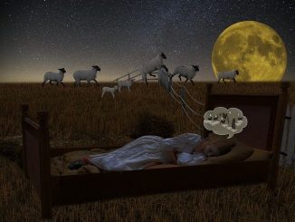 insomnie compter les moutons